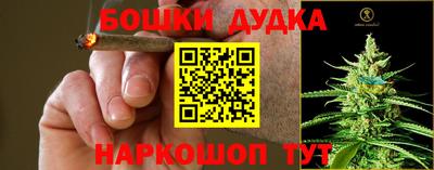 крисы Кандалакша