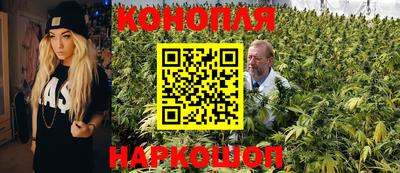 крисы Кандалакша