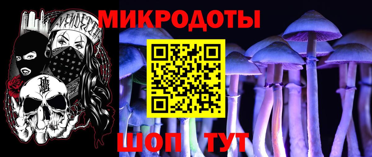Галлюциногенные грибы Cubensis Мегион